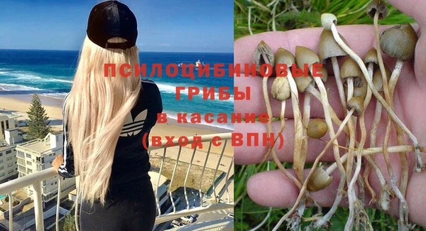 стаф Абаза